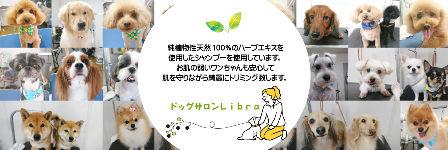 ドッグサロンLibraは、ワンちゃん専門の美容室です